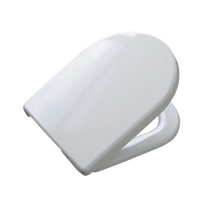 VERSA WC DASKA-INOX VIJCI-C2